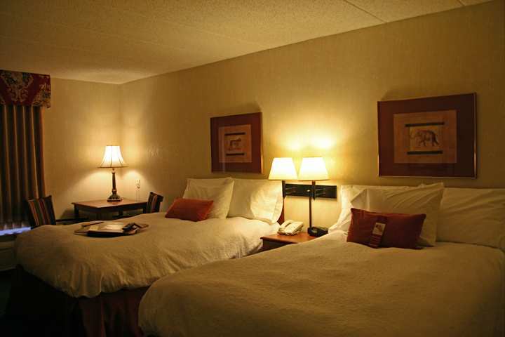 Hampton Inn & Suites Kokomo Rum bild